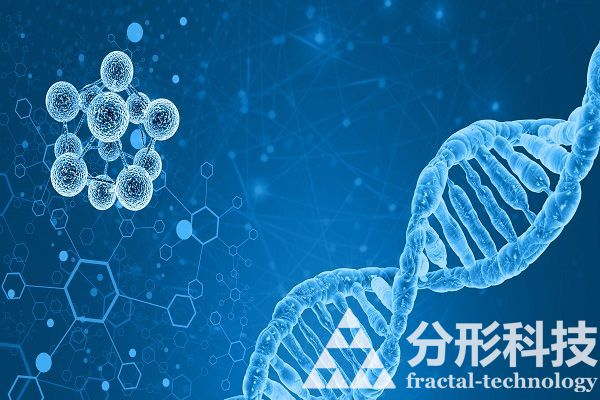 醫(yī)院網站建設公司：為您提供一站式醫(yī)療服務平臺